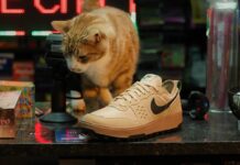 나이키 DTC 전략의 수정 과정과 배경