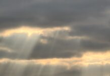 AI 창작물에 대한 브랜드의 관점